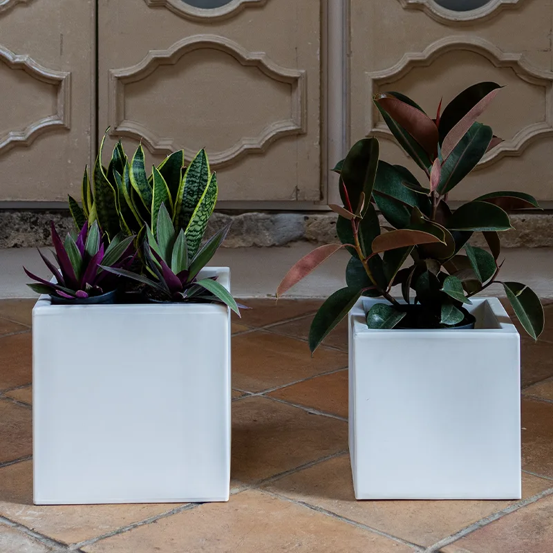 kloris-ellenico-portavaso