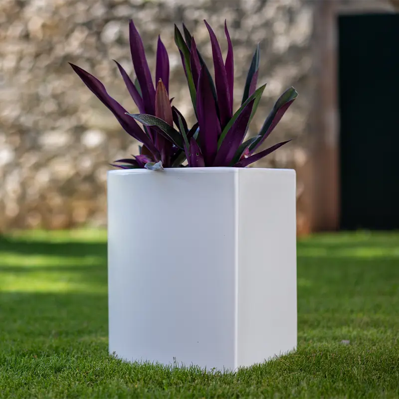 kloris-link-portavaso