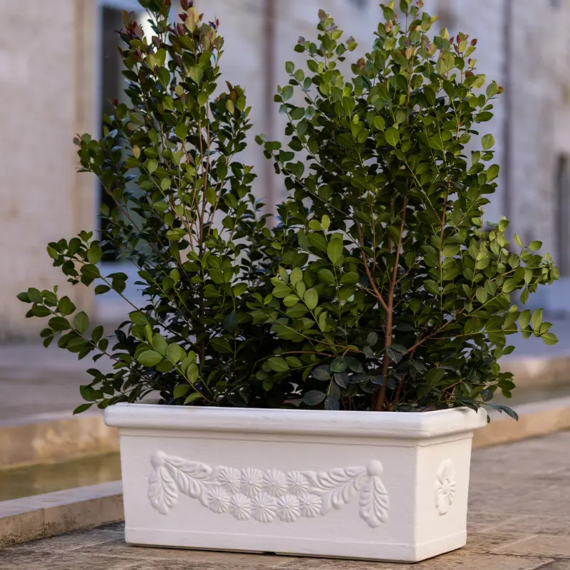 kloris-rettangolare-festonato-vaso