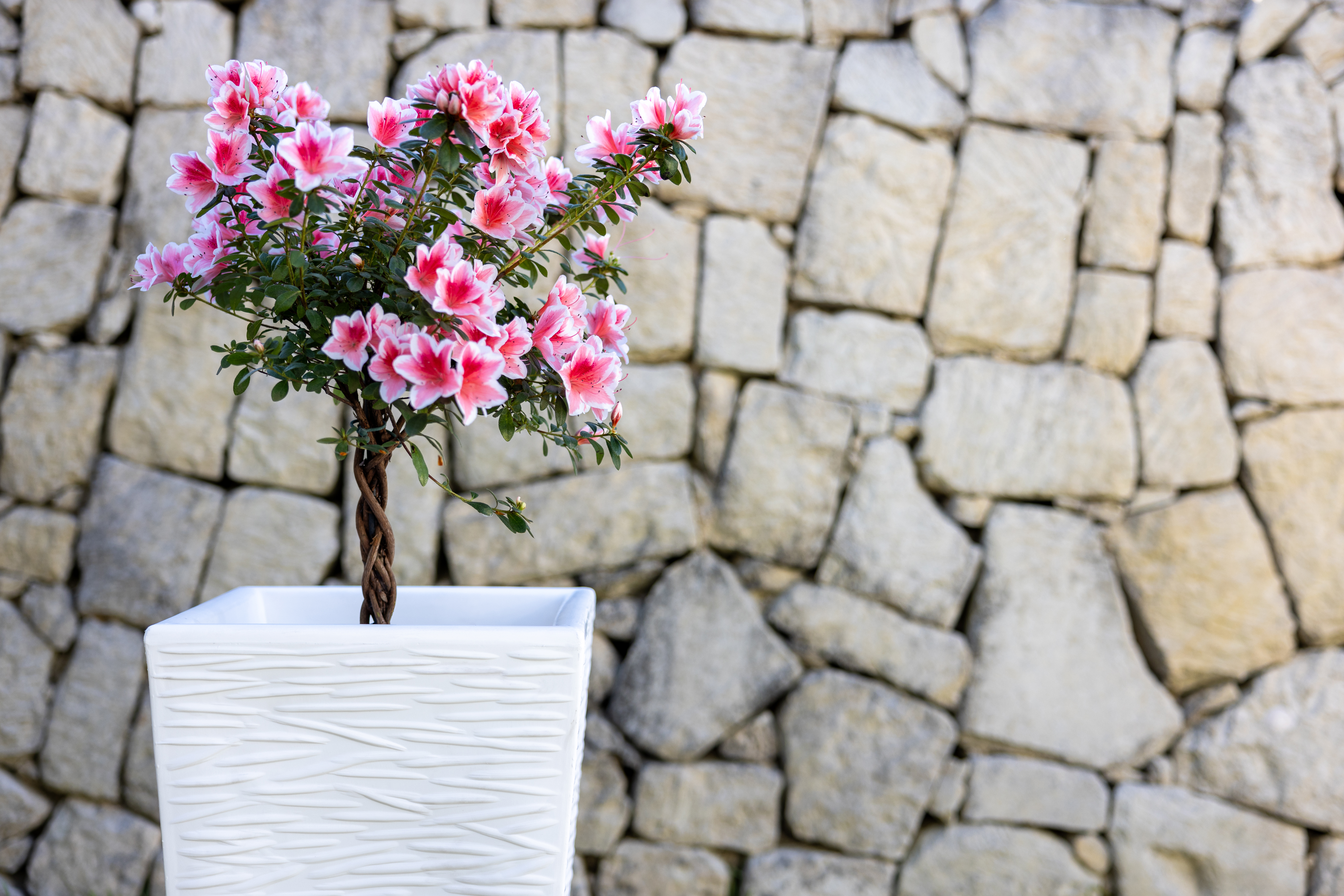 portavaso-alto-quadrato-egizio-rustico-dettaglio