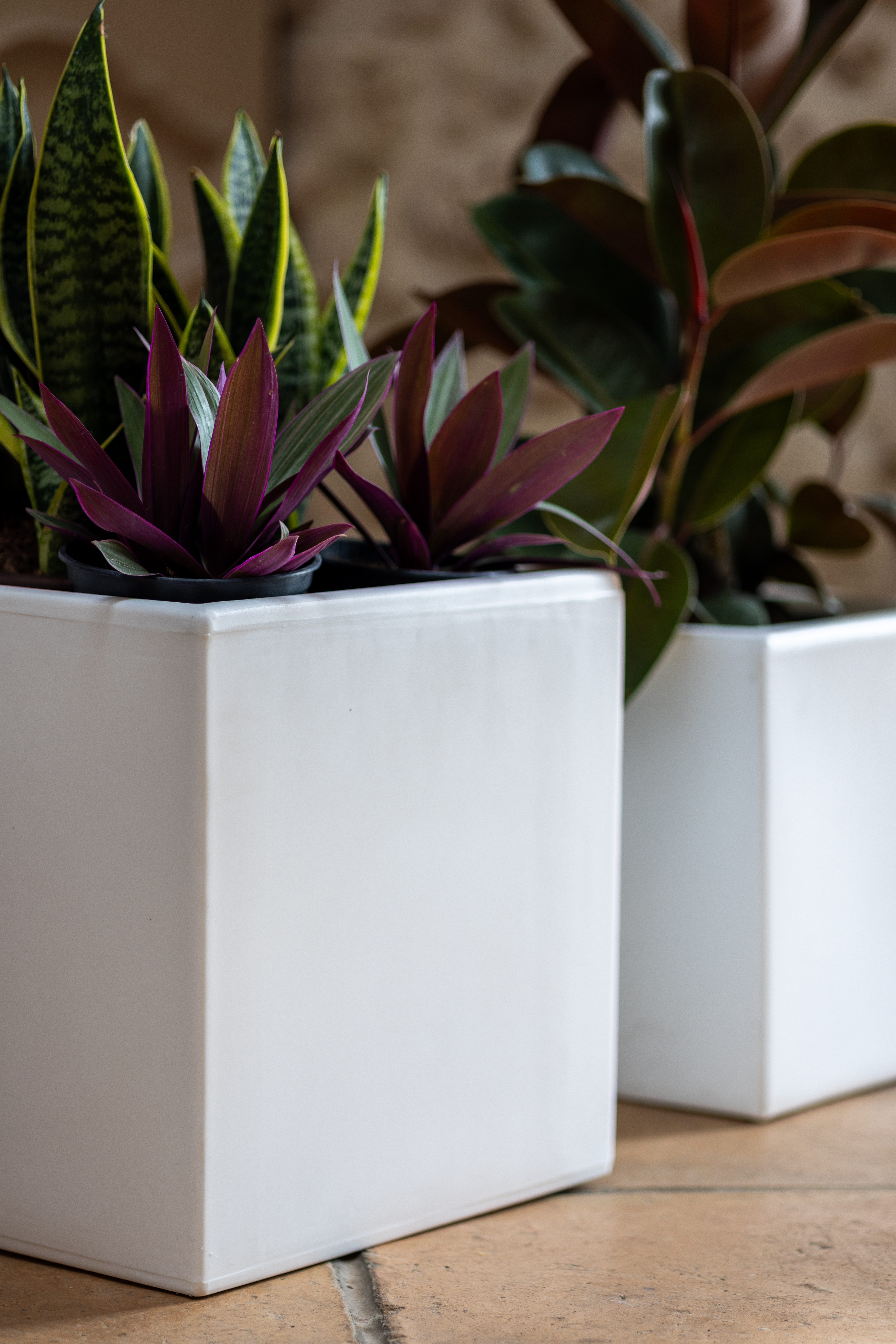 oasi-30-vaso-quadrato-dettaglio 2