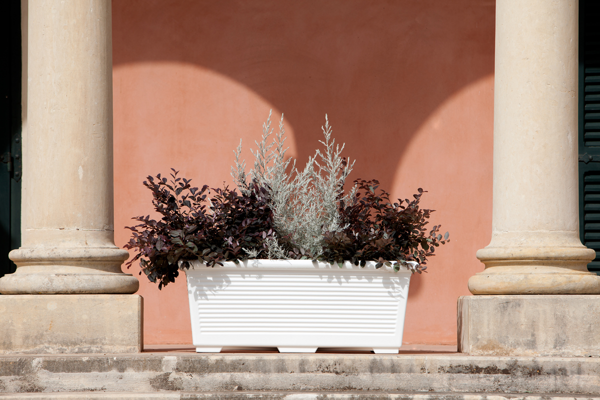 RETTANGOLARE MILLERIGHE  1