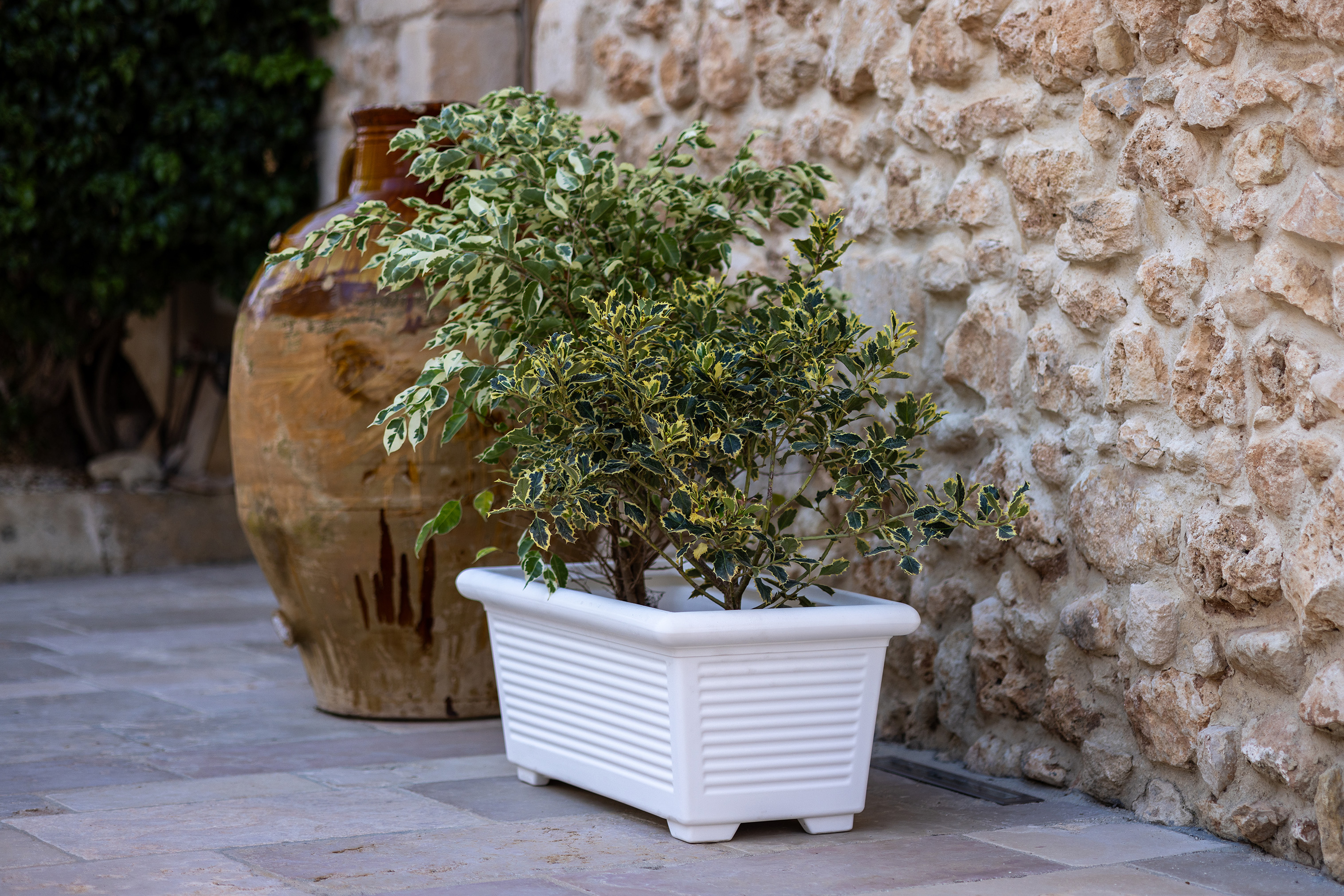 RETTANGOLARE MILLERIGHE 2