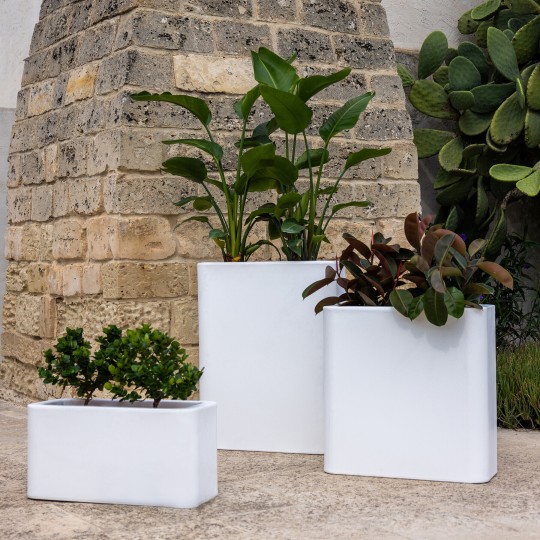 kloris vaso blog bianco