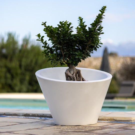 Kloris vaso Dorico bianco