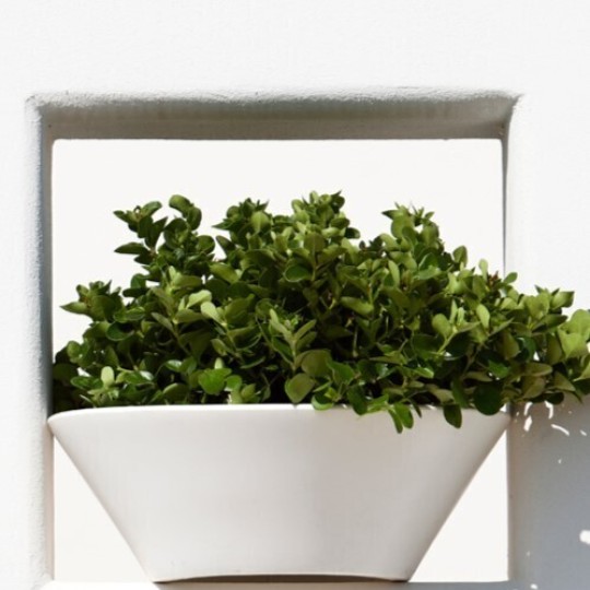 Kloris vaso Greco bianco