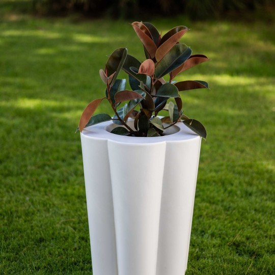 Kloris vaso Lulet bianco